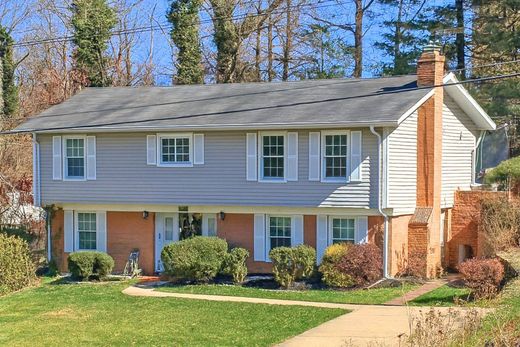 호화 저택 / Silver Spring, Montgomery County