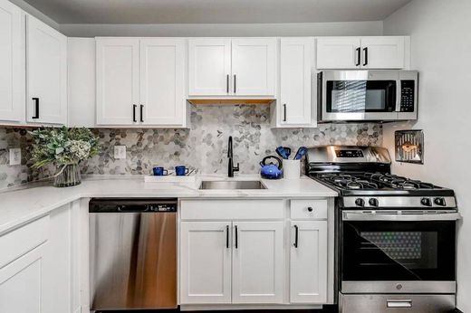 Maison de luxe à Baltimore, Ville de Baltimore