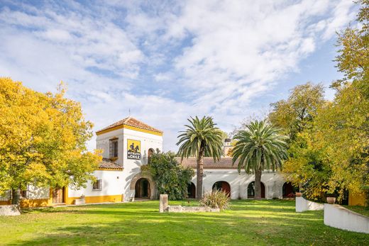 Country House in Griñón, Province of Madrid