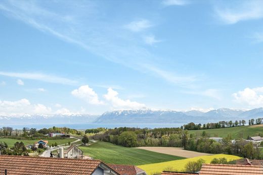 Detached House in Montherod, Morges District
