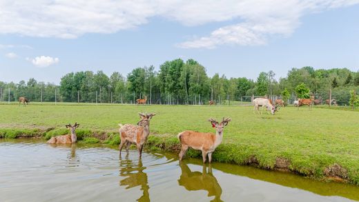 Propriété de campagne à Sigulda, Siguldas Novads