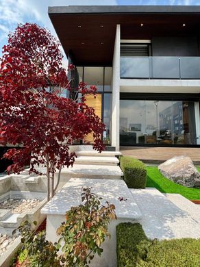 단독 저택 / Santiago de Querétaro, Querétaro