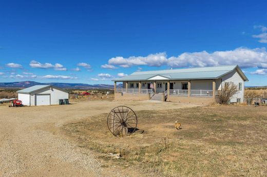 Einfamilienhaus in Redvale, Montrose County