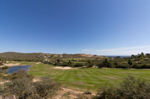 Maison individuelle à San José del Cabo, Los Cabos