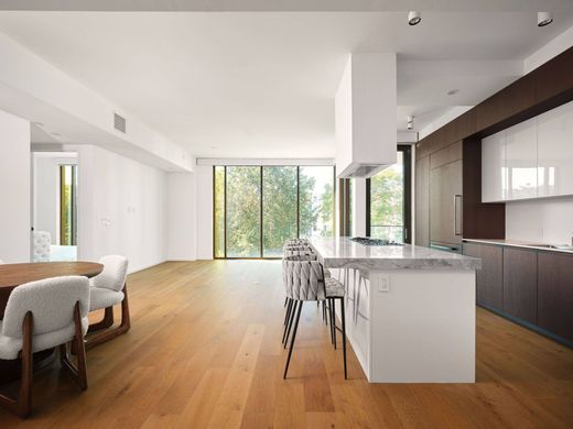 ﺷﻘﺔ ﻓﻲ أوستن، تكساس, Travis County