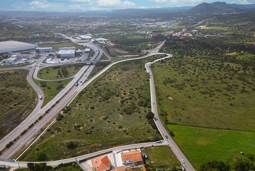 地皮  Torres Novas, Distrito de Santarém