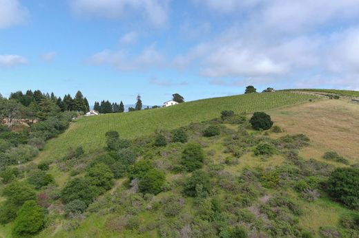 Detached House in Sebastopol, Sonoma County