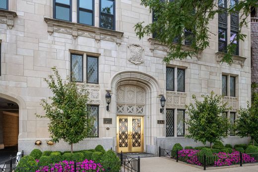 Luxe woning in Chicago, Cook County