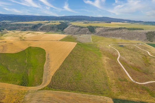 Luxury home in Tetonia, Teton County