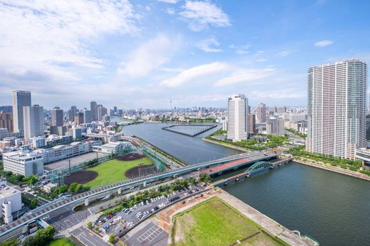 아파트 / Tokyo, Tokyo Prefecture