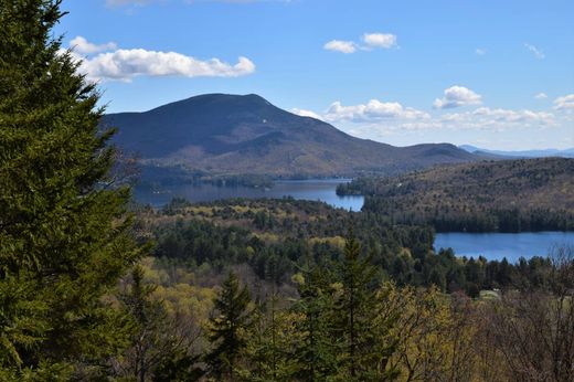 Dom jednorodzinny w Blue Mountain Lake, Hamilton County