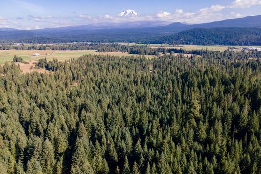 地皮  Trout Lake, Klickitat County