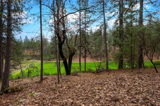 Land in Meadow Vista, Placer County