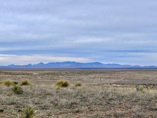 Gospodarstwo w Marfa, Presidio County