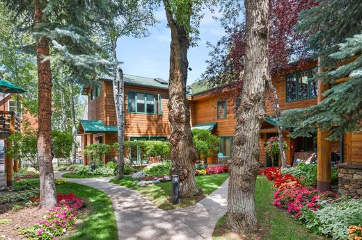 Apartment in Aspen, Pitkin County