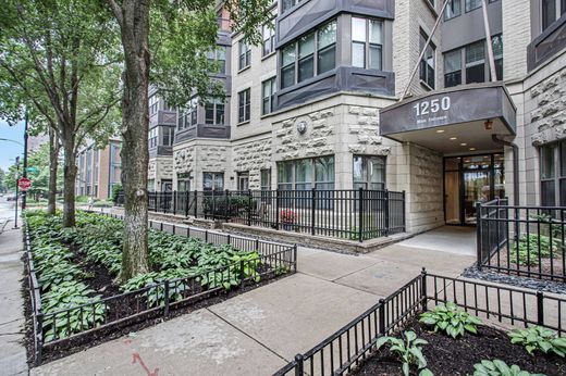 Apartment in Chicago, Cook County