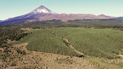 Gospodarstwo w Temuco, Provincia de Cautín