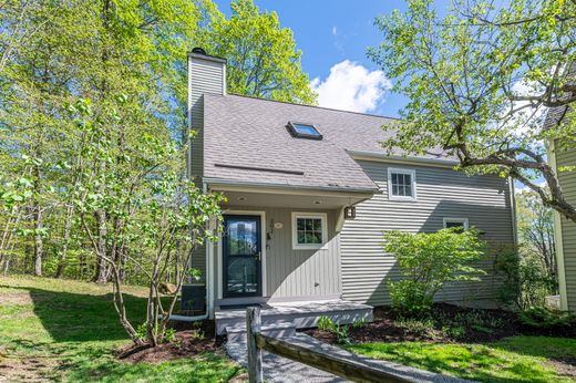 Apartment / Etagenwohnung in Manchester, Bennington County