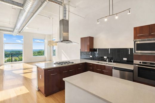 Daire Atlanta, Fulton County