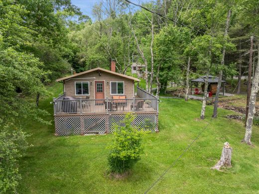 Luksusowy dom w Fleischmanns, Delaware County