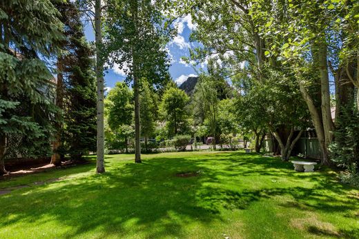 Land in Aspen, Pitkin County