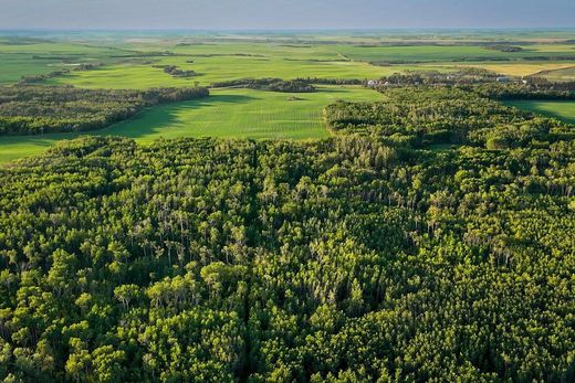 Landhuis in Edmonton, Alberta