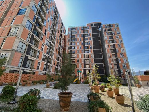 Daire Zapopan, Estado de Jalisco