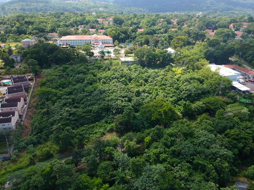 Teren w Ocho Rios, Saint Ann Parish