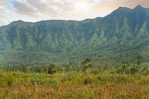 Land for sale in Kīlauea