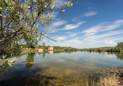 منزل ريفي ﻓﻲ Cáceres, Provincia de Cáceres