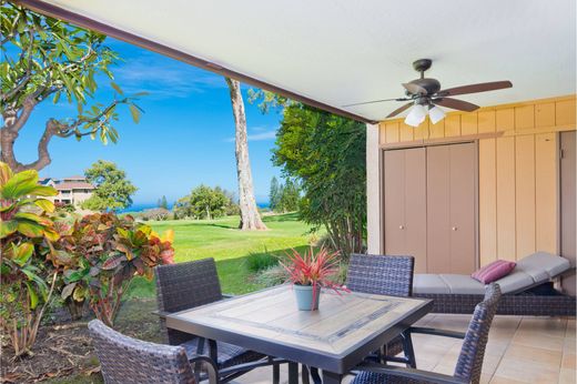호화 저택 / Waikoloa, Hawaii County