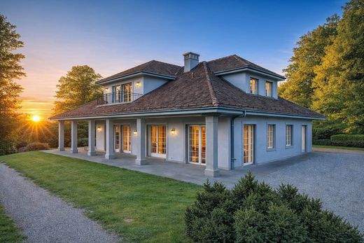 Detached House in Rapperswil, Wahlkreis See-Gaster