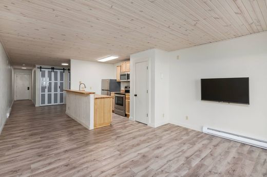 Mount Crested Butte, Gunnison Countyのアパートメント