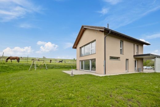 Detached House in La Chaux-de-Fonds, La Chaux-de-Fonds District