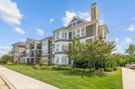 Luxury home in Hinsdale, DuPage County