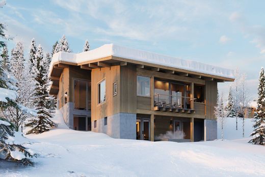 단독 저택 / Alta, Teton County