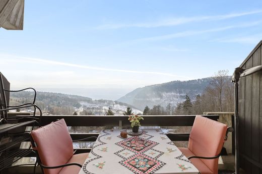 Duplex in Sainte-Croix, Jura-Nord vaudois District