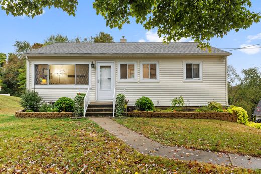 独立式房屋  Beaver Falls, Beaver County