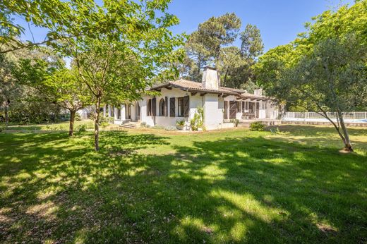Detached House in Pyla sur Mer, Gironde