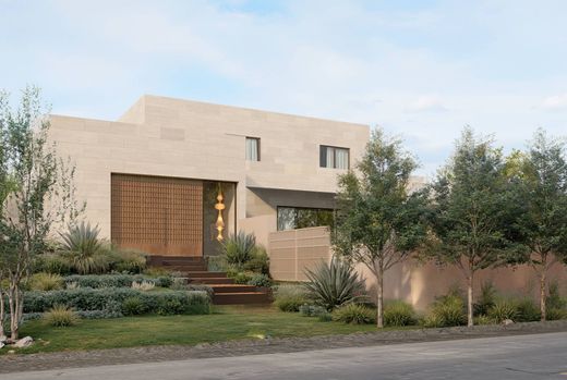 Arsa Austin, Travis County