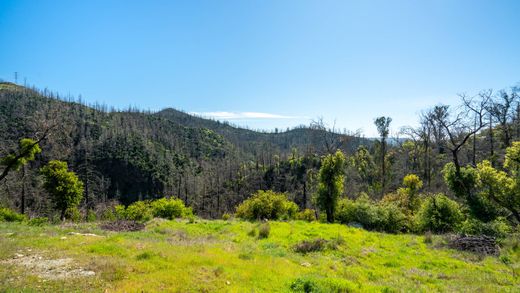 Terreno - Santa Rosa, Sonoma County