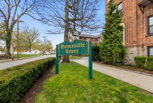 Maison de luxe à Bronxville, Comté de Westchester