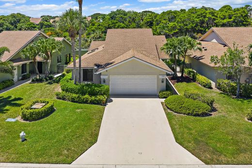 Элитный дом, Юпитер, Palm Beach County