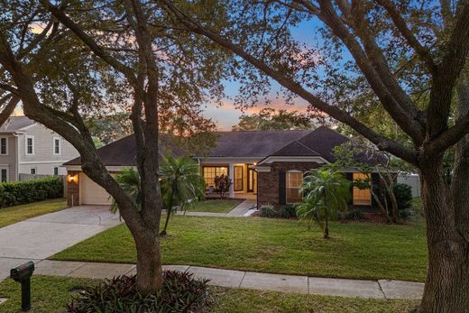 Odessa, Pasco Countyの一戸建て住宅