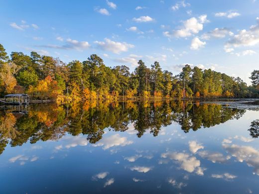 Köy evi Lufkin, Angelina County
