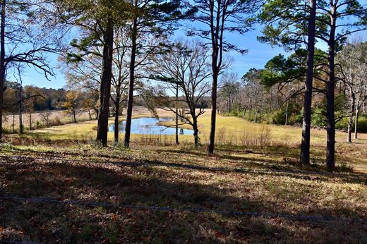 بيت مستقل ﻓﻲ Palestine, Anderson County