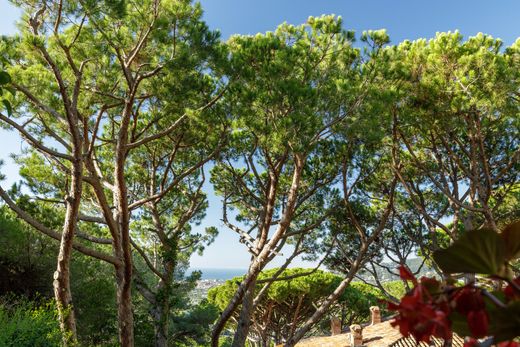 Terreno en Cabrils, Provincia de Barcelona