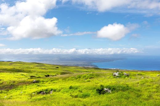 Teren w Waimea, Hawaii County