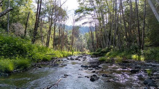‏בית חד-משפחתי ב  Healdsburg, Sonoma County