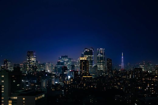 ‏דירה ב  טוקיו, Tokyo Prefecture